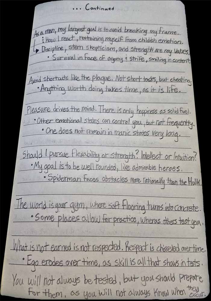 Brandon Grisham, Bagrisham, Internet, Notes, January, page 24