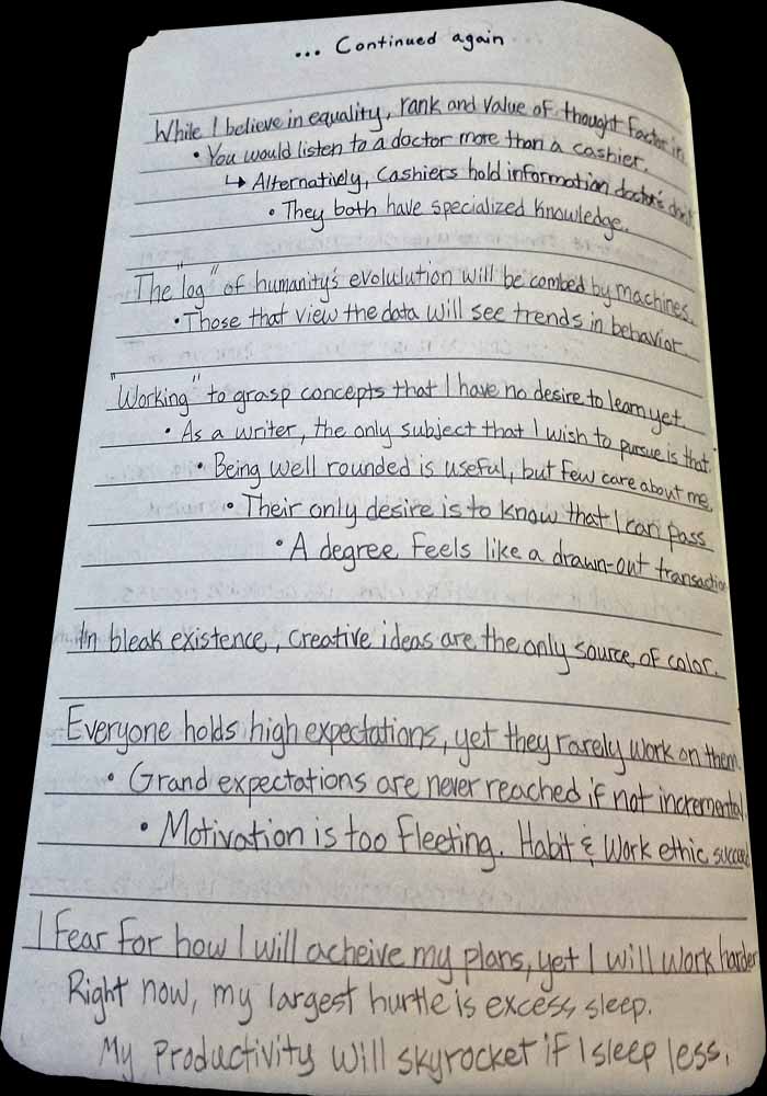 Brandon Grisham, Bagrisham, Internet, Notes, January, page 25